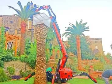 Cormidi KB kosaras emelő - pókdaru 2