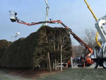 Cormidi KB kosaras emelő - pókdaru 3. kép