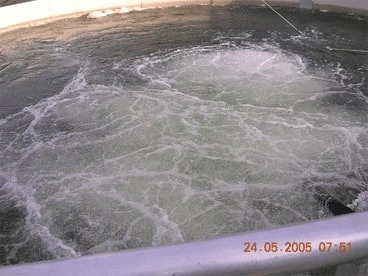 Turumi 32TRN2.75 japán csúcsminőség merülő levegőztető szivattyú 19